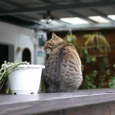 jqk610's profile picture. hi I'm taiwanese 
Studying cpm Painting techniques and photo editing tips