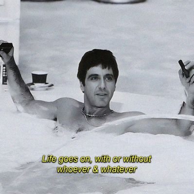 NightRiderDev's profile picture. Sports enthusiast, Nature Lover, stay away from political agruments.