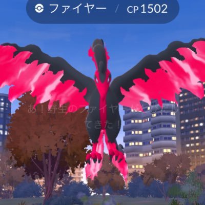 sayona_ra123's profile picture. もう使ってません