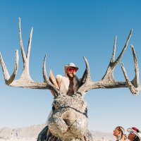 CLINTON LESH (@lesh_clinton) 's Twitter Profile
