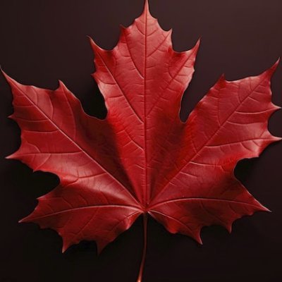 pmcphedran's profile picture. I do cool technology things