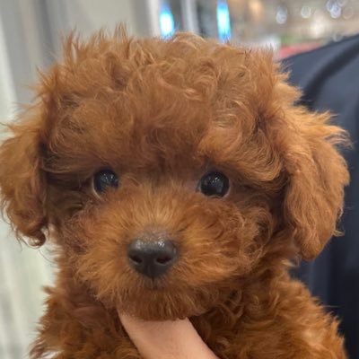 X_kagoshima_315's profile picture. 鹿児島暮らしをポスト｜趣味はイベント、人気スポット、パワースポット、グルメ、スイーツ｜楽しい、面白い、役に立つ｜安心感、清潔感、笑顔をモットー｜趣味は友達との交流｜同じ鹿児島の方と交流を広げたい｜アメリカ外資系企業に勤務｜独立して起業家｜休日はテニスコーチ｜中学テニス、県3位｜高校野球、甲子園出場｜自称イケおじです（笑