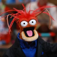 Spaghetti Think (@spaghettithink) 's Twitter Profile