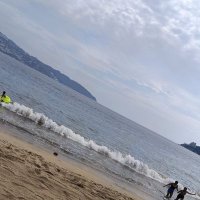 🌴Gordito Acapulqueño 🌴 (@gacap89) 's Twitter Profile