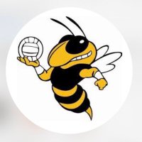 Lakeland HS Girls Volleyball (@lakelandgvb) Twitter profile photo