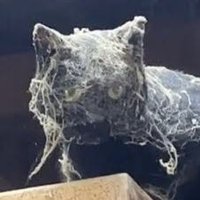 B4DBAB3 ♡ (@b4dbab3) 's Twitter Profile