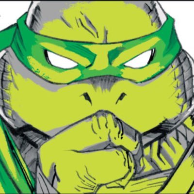 💚🐢TOONZ🐢💚さんのプロフィール画像