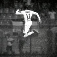 Tiger (@tigerftnv2) 's Twitter Profile Photo