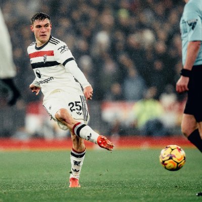 AlekcUTD's profile picture. MUFC Fan Account || Sick of this. || I only speak truth