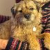 Lord Culter BT ๐ด๓ ง๓ ข๓ ณ๓ ฃ๓ ด๓ ฟ (@btculter) Twitter profile photo Lord Culter BT ๐ด๓ ง๓ ข๓ ณ๓ ฃ๓ ด๓ ฟ (@btculter) Twitter profile photo