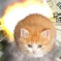scrambled (@v14883411) 's Twitter Profile