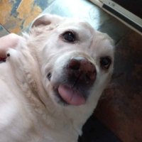 C1TYYYYY (@c1tyyyyy) 's Twitter Profile