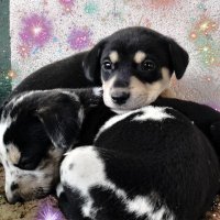 John Mwash (@postmaniac22) 's Twitter Profile