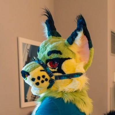 30 Male | Lynx | Married | He/They | I do stupid stuff and sound even stupider | (18+)