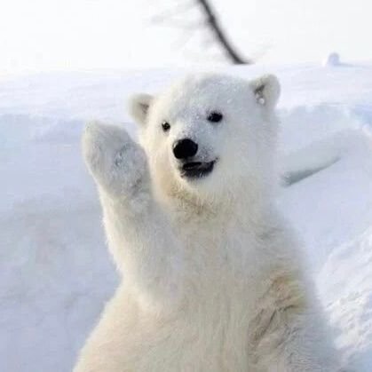 serrie143's profile picture. 