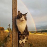 bıkkın (@nz4848548516) Twitter profile photo