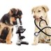 VetVeda Labs (@vetveda) Twitter profile photo VetVeda Labs (@vetveda) Twitter profile photo