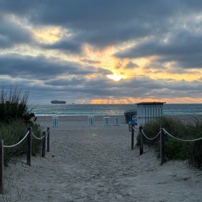 maur1to's profile picture. 