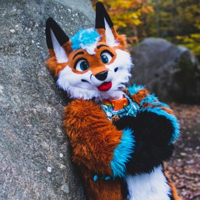 26 l 🦊 Fun sized Foxie l 🥖 French & English 🇺🇸 l 🖥️ IT Student🧑🎓l 🇨🇦 QC 🇫🇷| 🦋@Blepfoxie