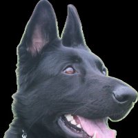 Dean (@dean13151) 's Twitter Profile Photo Dean (@dean13151) 's Twitter Profile Photo