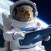 SQUIRREL TO MARS (@squirreltomars) Twitter profile photo SQUIRREL TO MARS (@squirreltomars) Twitter profile photo