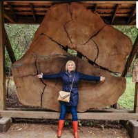 Charlotte Harwell (@charlotte_h_t) 's Twitter Profile