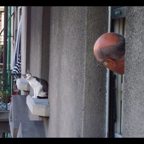 PleangBits's profile picture. whats life now, jabbawockeez fan, song englis thai