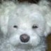 sol 🥟 (@solangestellam) Twitter profile photo sol 🥟 (@solangestellam) Twitter profile photo