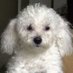 Maria Clara Pinzon (@mariaclara33081) Twitter profile photo Maria Clara Pinzon (@mariaclara33081) Twitter profile photo