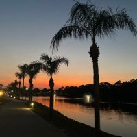 Suncoast Sara (@suncoast_sara) 's Twitter Profile