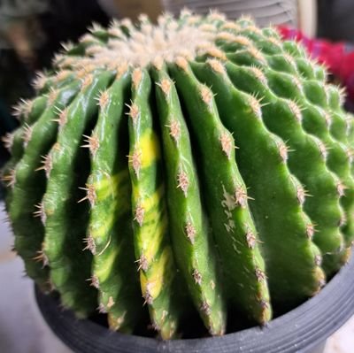 tsssuzaki104's profile picture. 