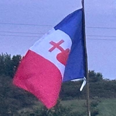 gus60300's profile picture. 