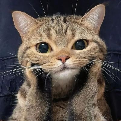 P_Patty_Pat's profile picture. @Nnattawin1 #ApoNnattawin           
 
             🥕🥕 #apocolleagues 🥕🥕                                     

💛💛//รักอาโปมากๆเลยครับ// 💛💛