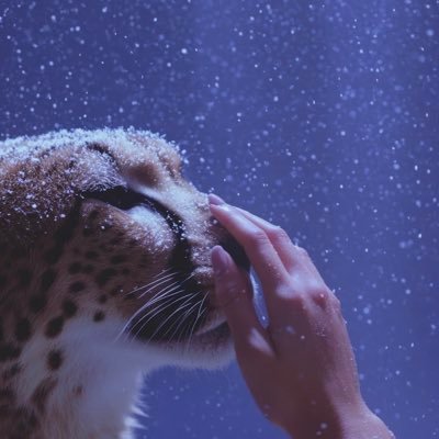 Rexoiiii's profile picture. 29 January