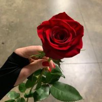 فـــــوفـوʚɞ☆🦋🦋 (@r0o0shh) 's Twitter Profile Photo فـــــوفـوʚɞ☆🦋🦋 (@r0o0shh) 's Twitter Profile Photo
