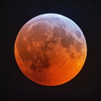 Silas (@spaceghost24k) Twitter profile photo