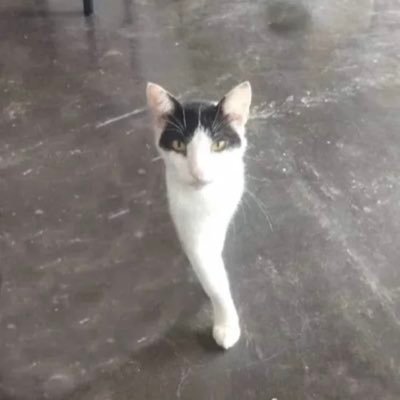 lifepart2_'s profile picture. 