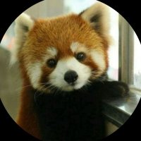 Why is Korea's birth rate low? (@k927927) 's Twitter Profile