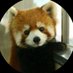 Why is Korea's birth rate low? (@k927927) Twitter profile photo Why is Korea's birth rate low? (@k927927) Twitter profile photo