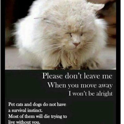Animal shelters should be places of 2nd chances. Gun violence survivor.