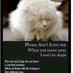 catsrangels2 ๐ฟ๐Forever in my heart Holly ๐ (@catsrangels2) Twitter profile photo catsrangels2 ๐ฟ๐Forever in my heart Holly ๐ (@catsrangels2) Twitter profile photo