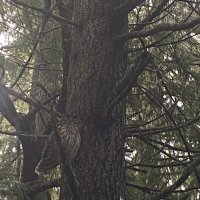 Mike Kay (@mikekaymikekay) 's Twitter Profile