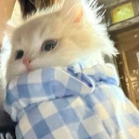 𝐋𝐔𝐈𝗦̶𐇽𝝥̶ (@l8_iux) 's Twitter Profile