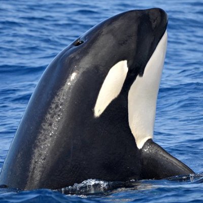 わーこさんのプロフィール画像