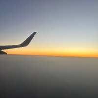 Neon (@niyantha) 's Twitter Profile