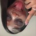 prettyrichopp44 (@prettyygirlstar) Twitter profile photo prettyrichopp44 (@prettyygirlstar) Twitter profile photo