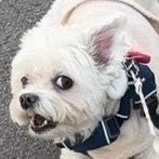 manager_h1007's profile picture. 50代後半にさしかかり、これからの残りの人生 前向きにチャレンジしていきます😀