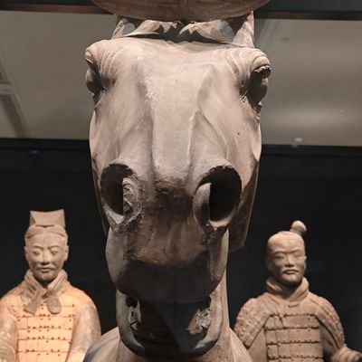 erlili359891's profile picture. 专注优质项目，写实用脚本。
查看往期项目及脚本详细教程请至博客↓