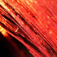 KB (@jlincq) 's Twitter Profile