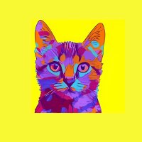 discocat (@disco___cat) 's Twitter Profile Photo discocat (@disco___cat) 's Twitter Profile Photo